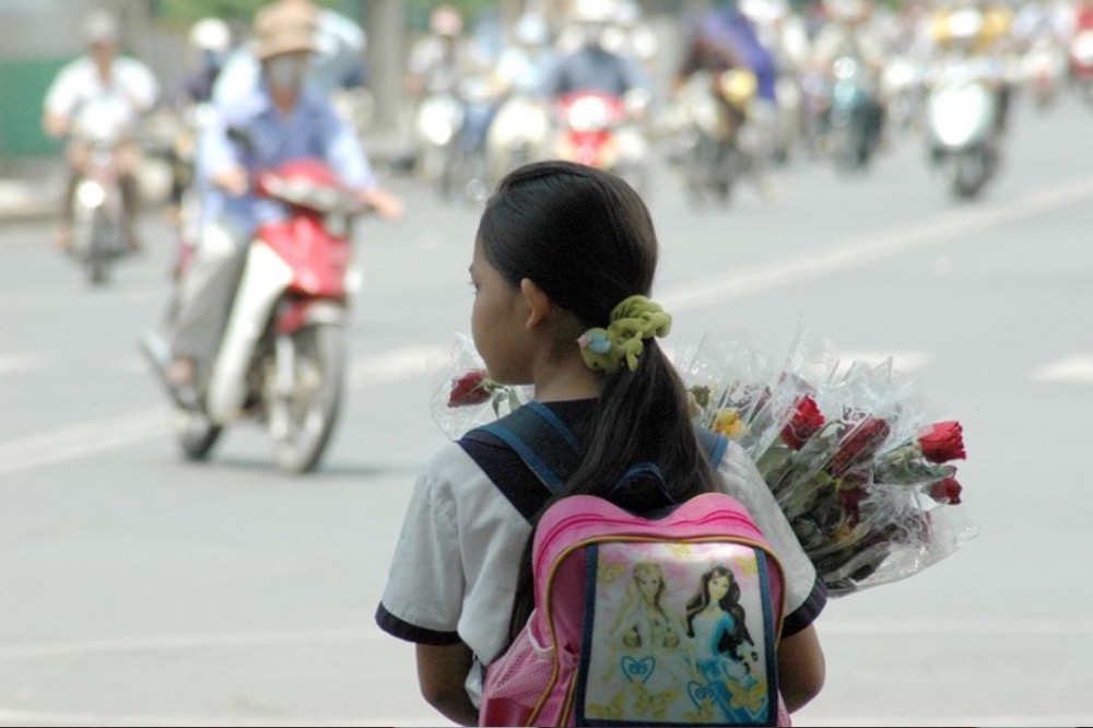 VIETNAM: Owl and the Sparrow