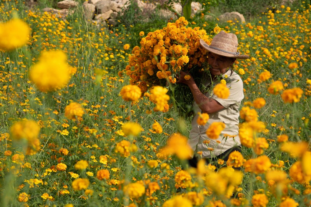 Guadalajara @BABYLON: Hilando sones (The Weavers´ Songs) 