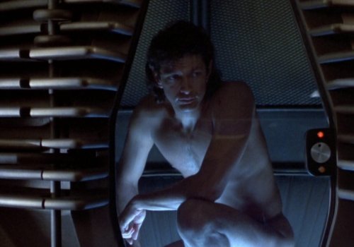 Cronenberg: The Fly