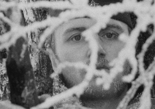 Nie wieder Krieg: Der Aufstieg
