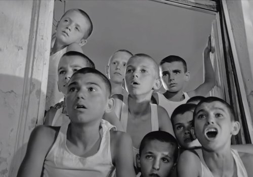 Fly Like An Eagle: Lulëkuqet mbi Mure [Poppies on the Walls]