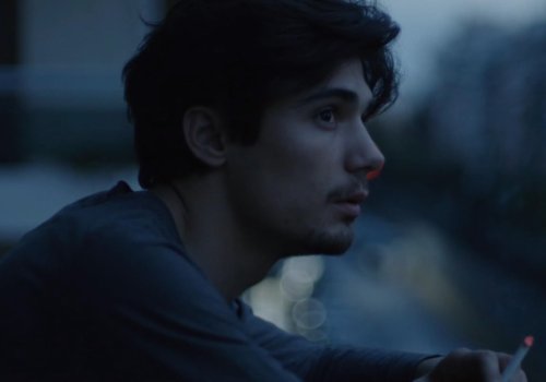 Fly Like An Eagle: Shorts Slot 2