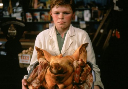 Irish on Screen: The Butcher Boy