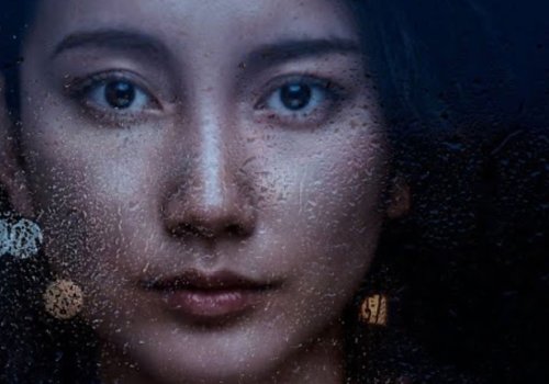 Japan #2: Black Box Diaries