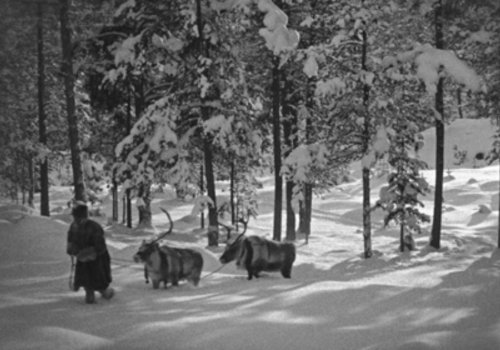 StummfilmLIVEFestival: Mit Schlitten und Rentier in Inka Läntas