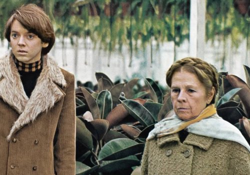 Free Friday: Harold and Maude