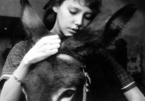 Robert Bresson: Au hasard Balthazar