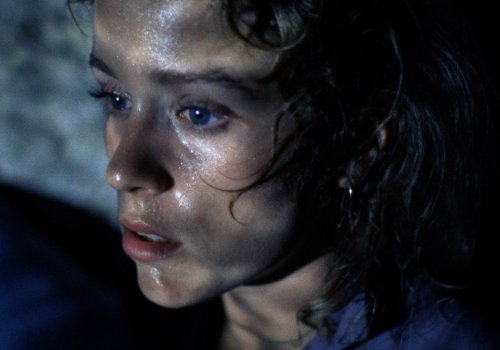 Coen & Coen: Blood Simple - Director`s Cut