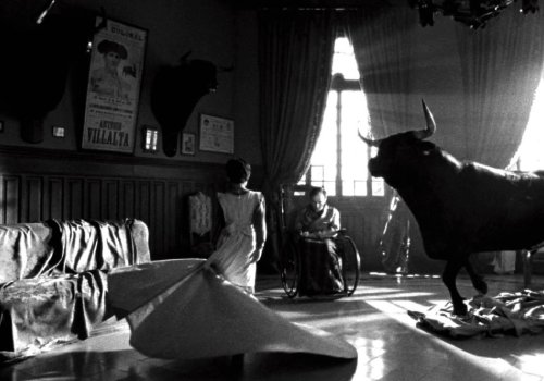 Toro & Torero: Blancanieves