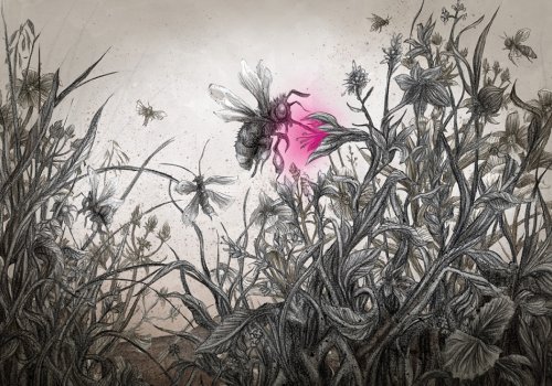 The Colour Out Of Space – LIVE [Die Farbe aus dem All]