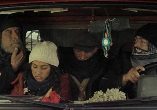 TFFB: Bir Tutam Karanfil [Cloves and Carnations]