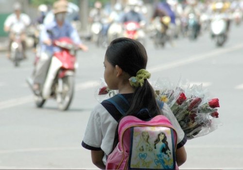 VIETNAM: Owl and the Sparrow