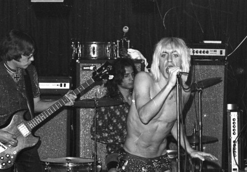 Wim & Jim: Gimme Danger