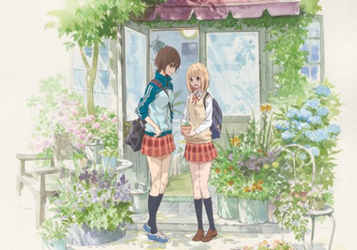 Anime Berlin: Kase-san and Morning Glories
