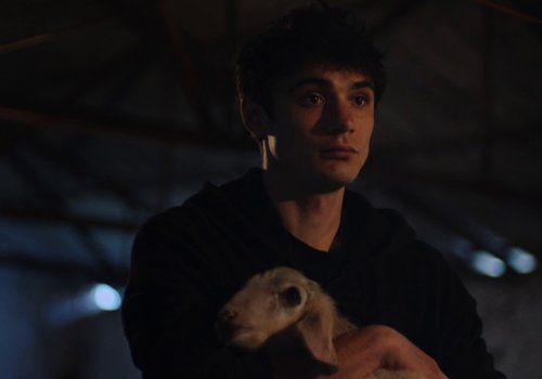 Greek Film Festival: Meat