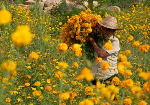 Guadalajara @BABYLON: Hilando sones