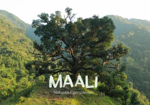 IndoGerman Filmweek: Maali