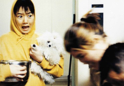 Süd-Korea: Barking Dogs Never Bite