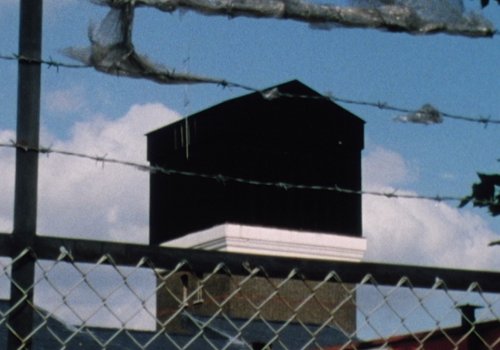 Videoart at Midnight: #158 THE LOSS OF REALITY IN THE ILLIGOCENE